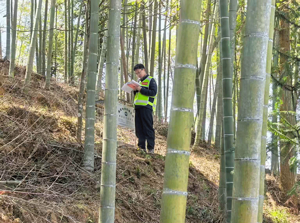 20260319_083621_006.gif